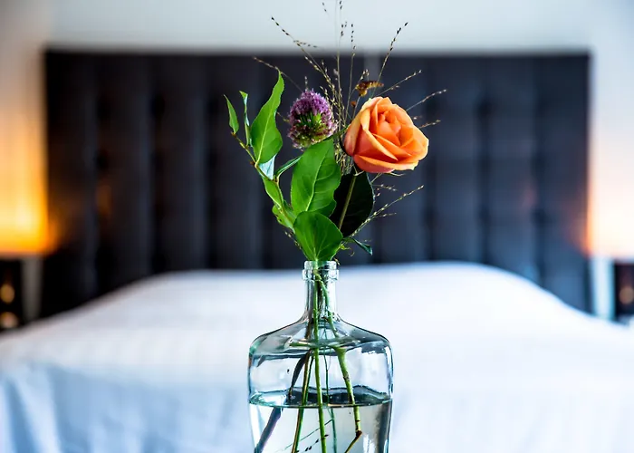 Hotel Fletcher Hotel-restaurant De Korenbeurs Made